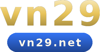 vn29 logo
